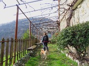Festa di fiori sui sentieri per il Monte Ubione-6 marzo 2026-FOTOGALLERY